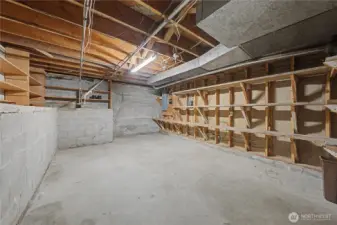 Tons of storage in the basement