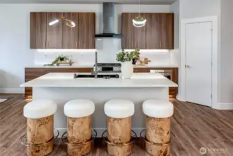 Walk-in Pantry! (model home lot 1A, colors may vary)