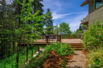 Side Yard with access to deck, kitchen and main floor.