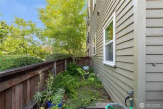 Garden space on the northeast side of the patio...