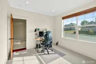 Downstairs bedroom/office