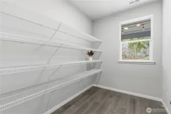 Enviable extra large pantry off the kitchen.