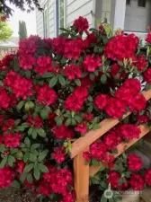 Spring will bring surprises