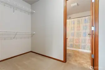 Spacious closet