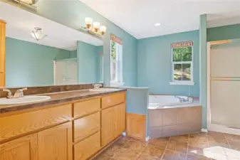Primary bathroom