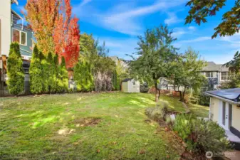 The large storage shed in the far corner is wonderful for storing tools and cushions.