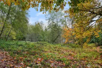 Back side of property is accessible on F st.