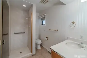 Guest Bath and Shower