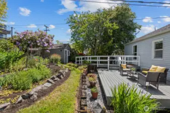 So Many Options in this Yard