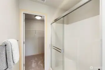 Walk-in shower and closet designed for convenience.