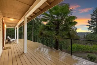 New lifetime deck surface with custom-made railings, providing a durable and inviting outdoor space to relax and take in the scenic surroundings.