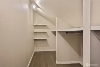 Large primary walk-in closet with additional lighted storage to the right of this photo.