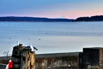 Look at that sunset on the mountain.