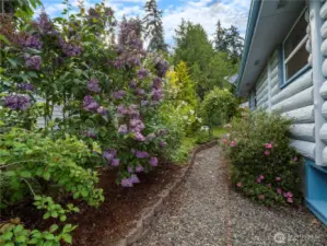 West side of the property...