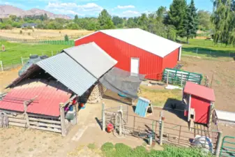 Chicken Coop and Barn