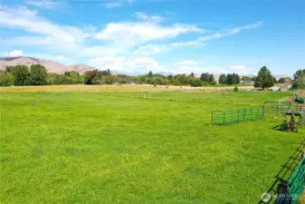 Fenced pasture