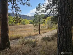 Views from the lower section of the acreage, overlooking the conservancy fields. Road leads down to Swauk Creek, private for only residents of Swauk Pines