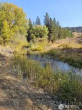 Swauk Creek that runs through the nature conservancy