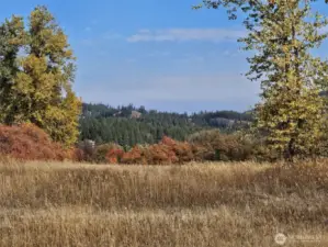 Another view of the conservancy area that you have to hike, jog and enjoy all the wonders of nature that adorn this area