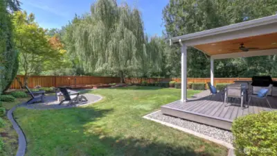 The Willow tree is truly a showstopper in this backyard!