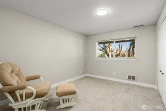 lower level 2nd bedroom