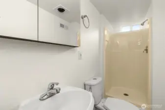 lower level 2nd bathroom