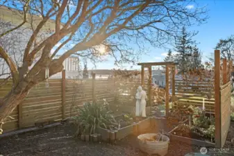 A view of one of the fenced gardens.
