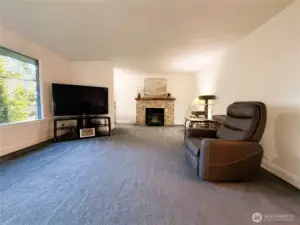 Wood burning fireplace