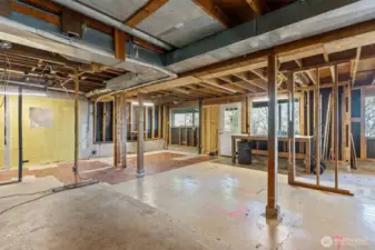 Large Unfinished Basement