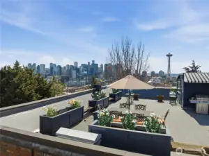 Private 1200 sq ft roof deck with 360 views