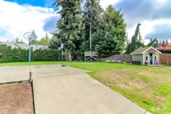 Sport court, tree house and room to play.