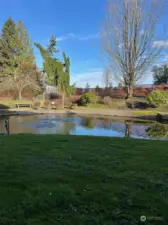 View of pond, water feature and grounds.