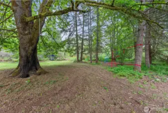 This Beautiful Maple is a Focal Point in the Front Yard! A Perfect PNW Playspace!