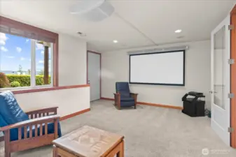 Lower level media room