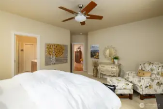 Expansive Primary suite with huge walk-in closet.