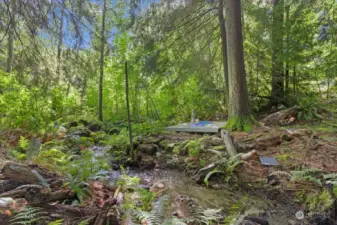 Green Space and Creek