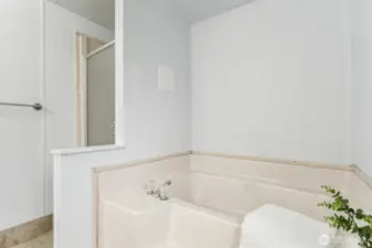 Tub and shower in primary
