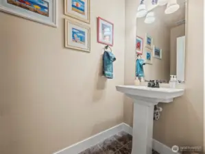 downstairs guest bathroom