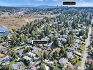 This aerial view showcases a scenic residential neighborhood with convenient access to the nearby Bellevue downtown area.