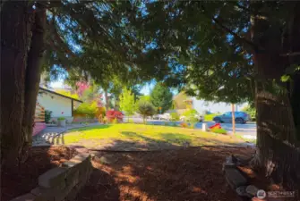 Can you imagine putting your hammock here in a hot summer day?