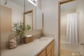 Full bath with large vanity and mirrored medicine cabinet to hold all your personal storage items. This photo has been virtually staged.