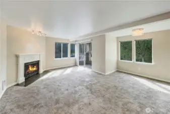 Light-filled great room