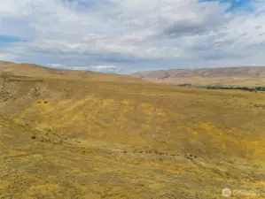 731 Point Dr Selah, WA  98942