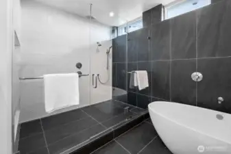 Huge walk-in shower in the primary suite, featuring dual shower heads, shower wand, and rain shower with Hansgrohe fixtures
