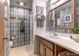 Basement bathroom