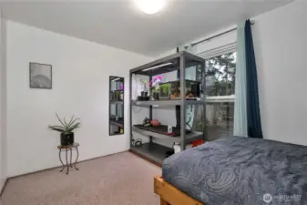 This is one of the bedrooms on the main level, it is at the end of the hall on the left