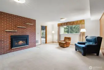 Living space in the basement with cozy gas fireplace.