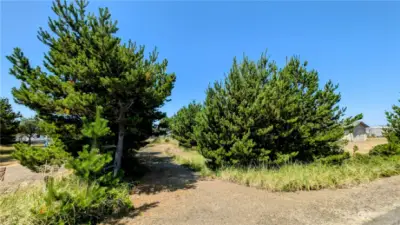 Treed entry to beautiful lot.