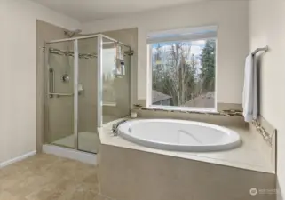 Fabulous spa-like bathroom.