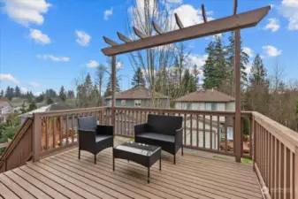 Upper level deck, perfect for entertaining off the kitchen.